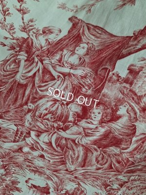 画像11: トワルドジュイ柄カーテン