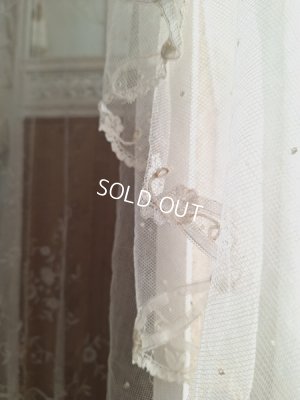 画像11: アンティークプリンセスレースベール