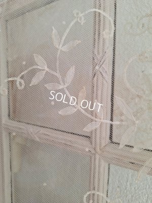 画像16: アンティークプリンセスレース