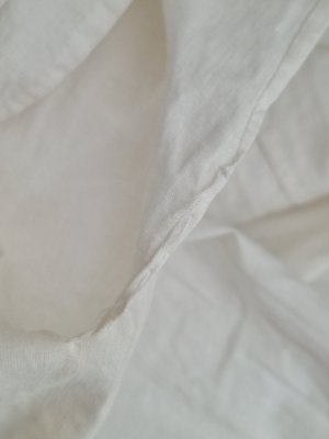 画像17: アンティークレースペチコート