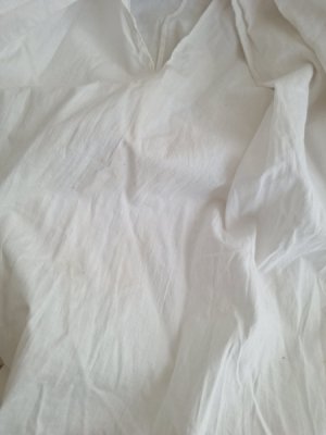 画像18: アンティークレースペチコート