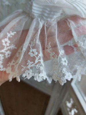 画像9: アンティークレースボディス