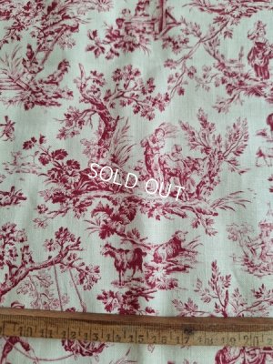 画像5: 小さなトワルドジュイ柄生地