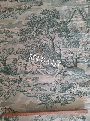 画像7: トワルドジュイ柄生地