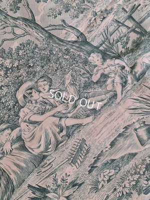 画像9: トワルドジュイ柄生地