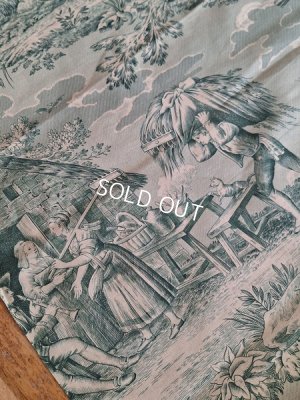 画像12: トワルドジュイ柄生地