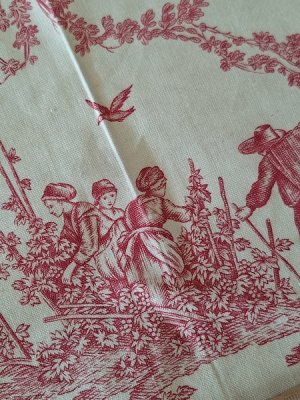 画像8: トワルドジュイ柄端切れ