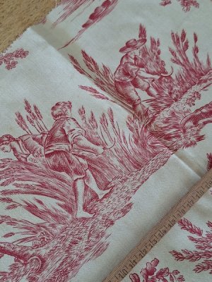 画像9: トワルドジュイ柄端切れ