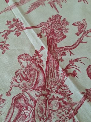 画像4: トワルドジュイ柄端切れ