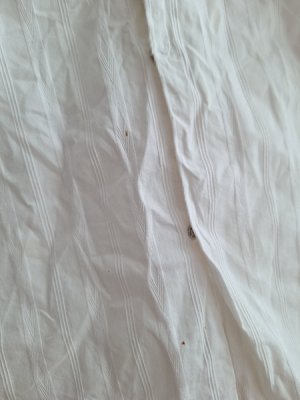 画像14: アンティークベビードレス