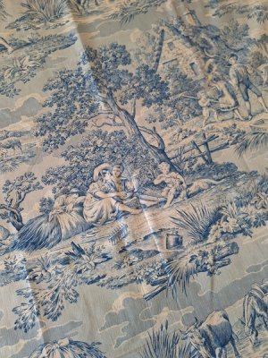 画像12: トワルドジュイ柄生地