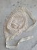 画像15: トッド柄ドレス＆ボネ